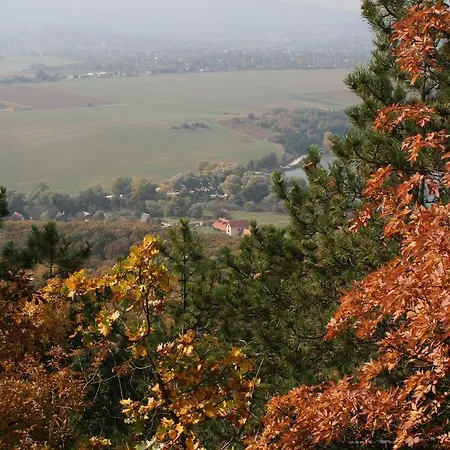 Malomdulo Farmhaz