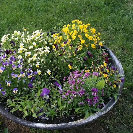 Country house Malomdulo Farmhaz Pilisborosjeno