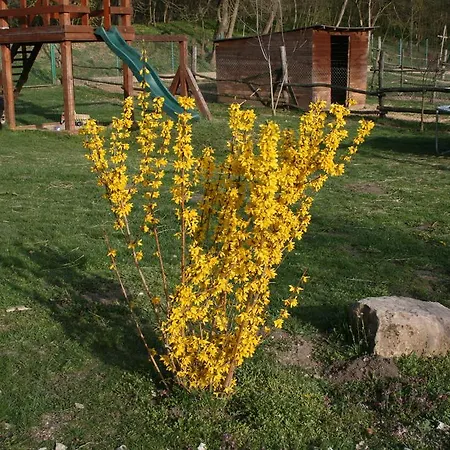 Malomdűlő Farmház