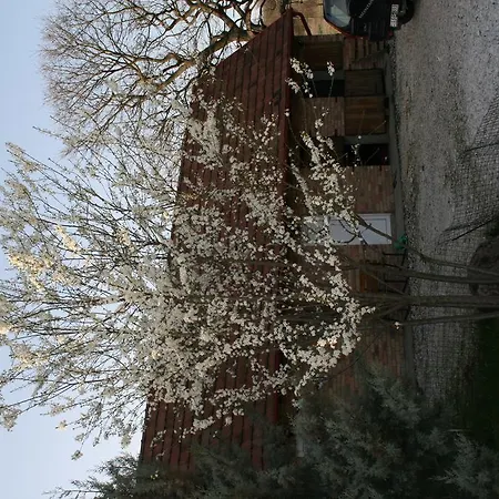 Country house Malomdulo Farmhaz Pilisborosjeno