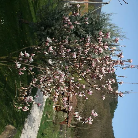 Malomdűlő Farmház