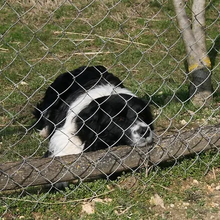 Venkovský dům Malomdulo Farmhaz *