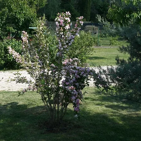Hétvégi ház Malomdűlő Farmház
