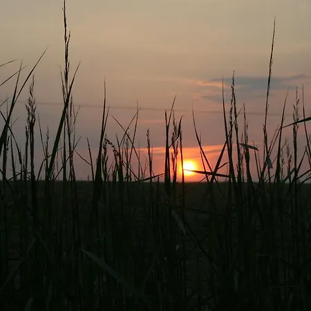 Malomdűlő Farmház
