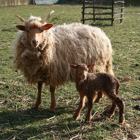 Malomdűlő Farmház Pilisborosjenő