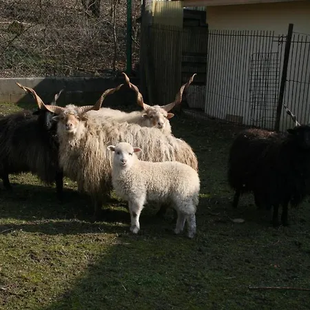 Malomdűlő Farmház Hétvégi ház *