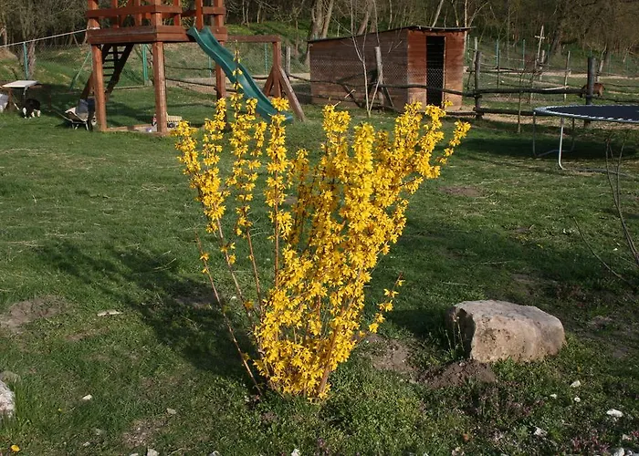 Malomdulo Farmhaz