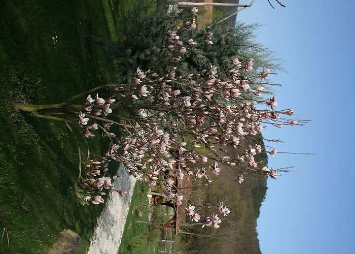 Malomdulo Farmhaz