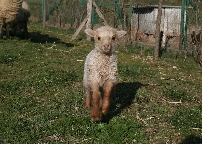 Εξοχικό σπίτι Malomdulo Farmhaz Pilisborosjenő