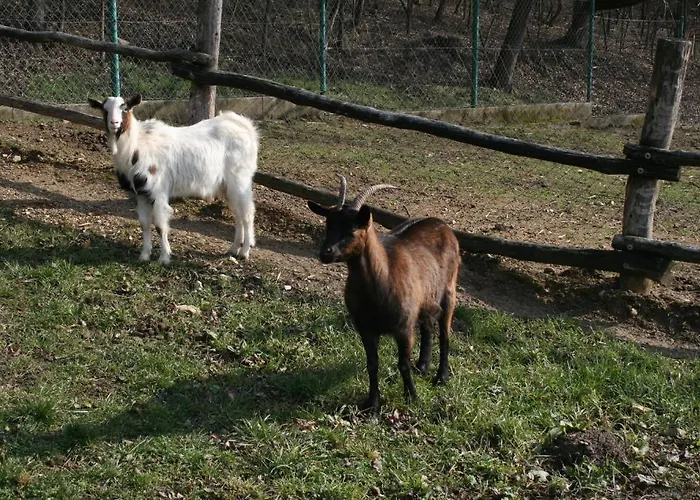 Malomdulo Farmhaz Lantställe