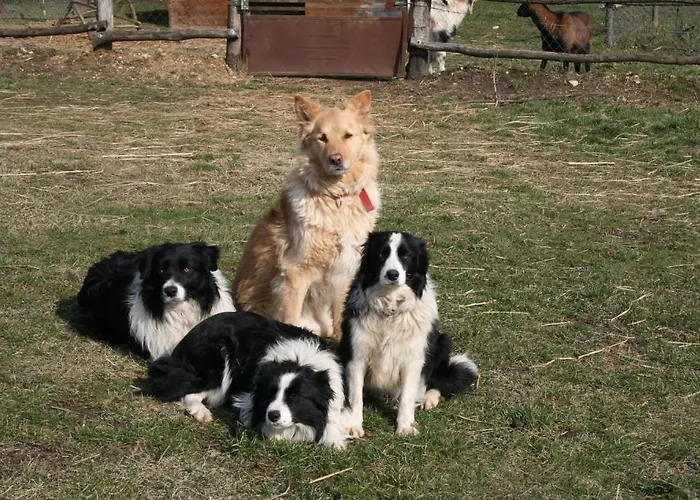 Εξοχικό σπίτι Malomdulo Farmhaz *